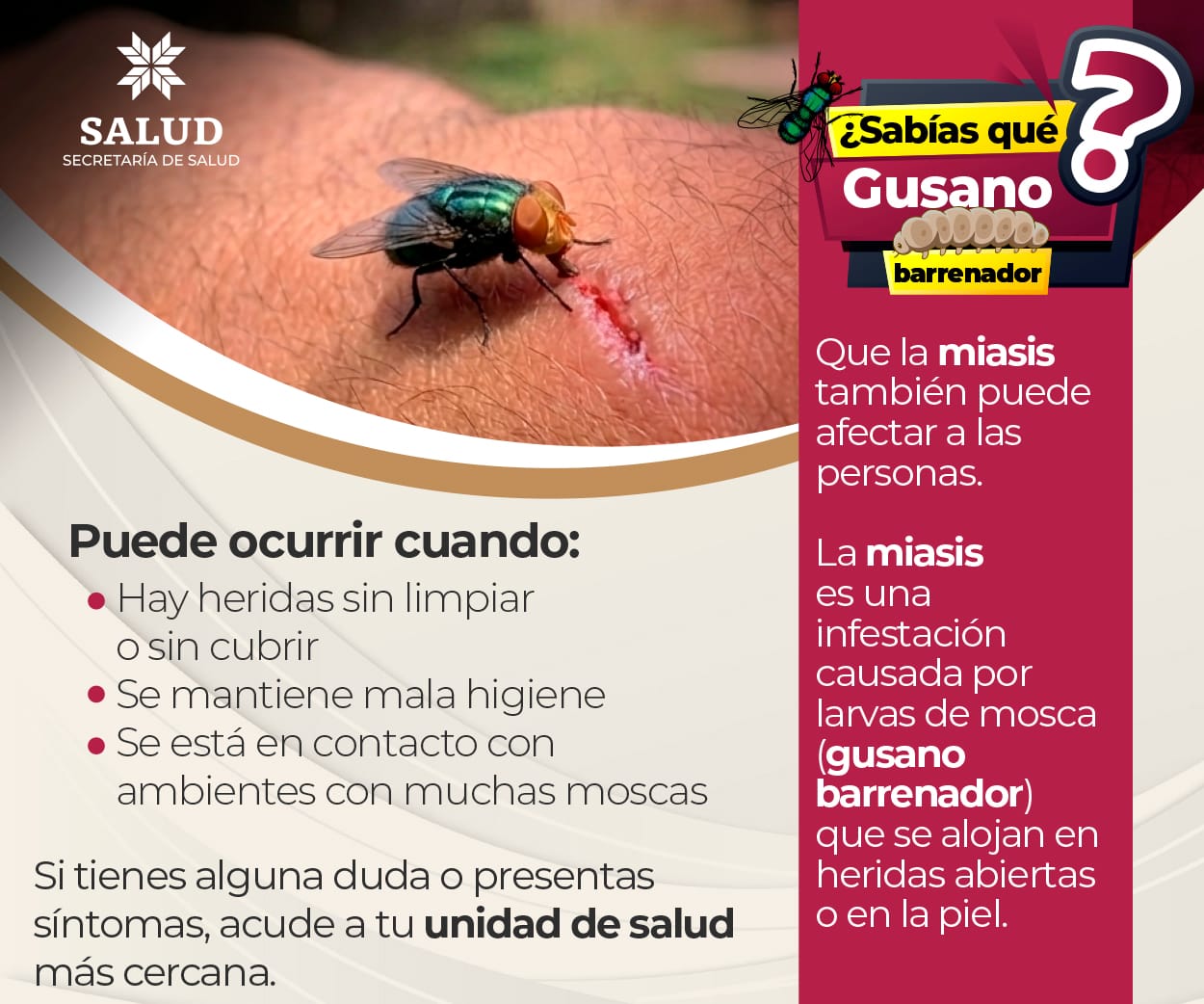 Prevención del gusano barrenador