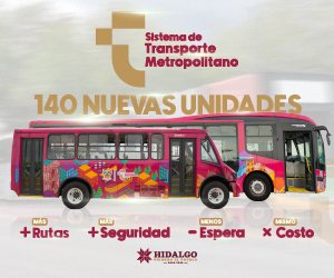 STM Tuzobus